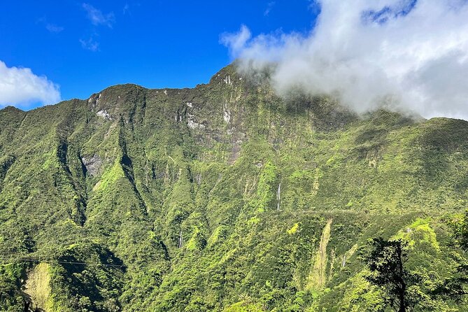 Crossing Over Tahiti Island Safari 4x4 - Guides Make the Difference: Plant Stories, Fruit Stops, and Uke Moments