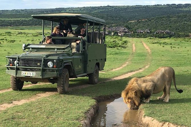 Day Safari at Pumba Private Game Reserve - Entering Pumba: the smooth start at the main gate