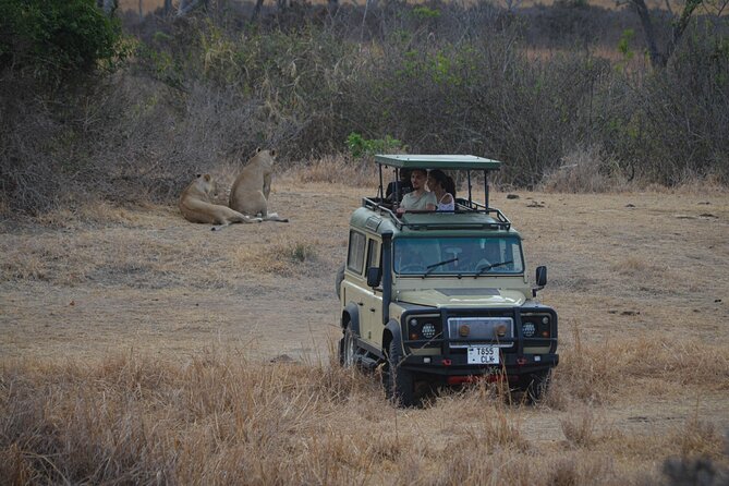 Day Safari Tour Selous Game Reserve - Key Things I’d Prioritize