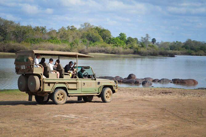 Day Safari Tour Selous Game Reserve - Flying From Zanzibar: How the Selous Day Safari Works