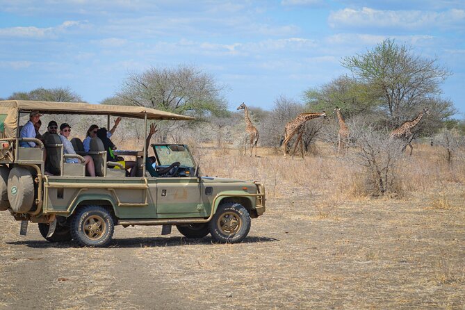 Day Safari Tour Selous Game Reserve - 07h00 Departure to Selous Mtemere Airstrip: Your First Game-Drive Window