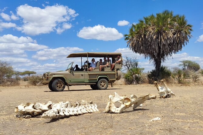 Day Safari Tour Selous Game Reserve - Return to Zanzibar Around 16h00: Timing, Waiting, and Expectations