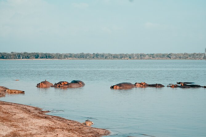 Day Safari Tour Selous Game Reserve - Price and Logistics: Is $600 Per Person Fair Value?