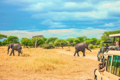 Day Safari tour to Selous Game Reserve from Zanzibar - Selous Game Reserve: what makes this park worth the trip