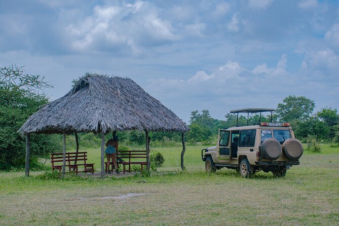 Day Safari tour to Selous Game Reserve from Zanzibar - What you’ll likely see in Selous on a one-day hit