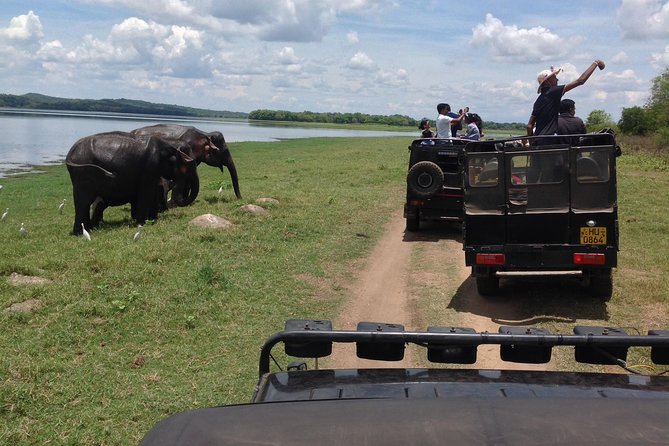 Day Tour from kandy to Sigiriya, Dambulla & National Park safari. - Key Things I’d Focus On Before You Go