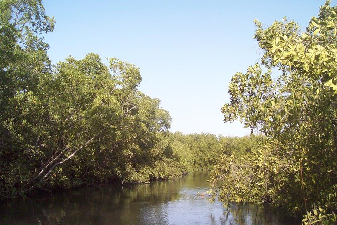 Day tour Somone lagoon and Bandia park Safari - Why Bandia Park and Somone Lagoon work together