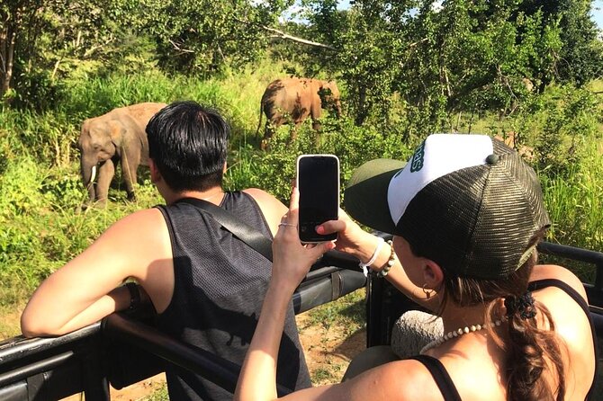 Day Tour to Dambulla, Sigiriya and Safari from Kandy (Group Tour) - Sigiriya Rock Fortress: Lion Rock, 1200 steps, and the view reward