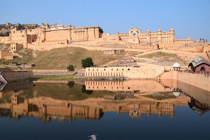 Delhi, Agra, Jaipur & Ranthambhore Tiger Safari 5-Day Tour - Ranthambhore’s tiger time: three safaris and how to make them count