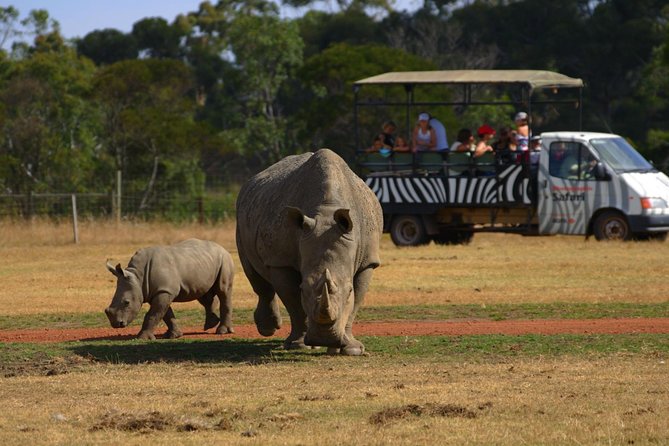 Deluxe Safari Adventure at Werribee Open Range Zoo - excl. entry - Key points worth your time