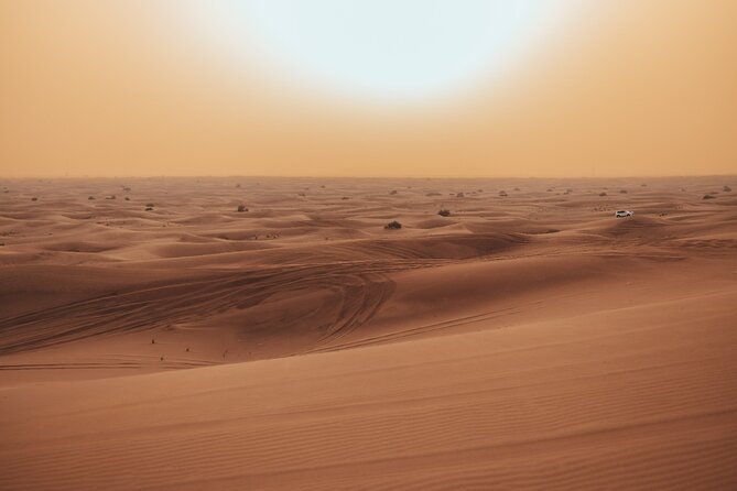 Deluxe Sunset Desert Safari: SandSurfing, Camel Ride & BBQ dinner - What This Deluxe Sunset Safari Gets Right: Thrills Plus a Real Camp Evening