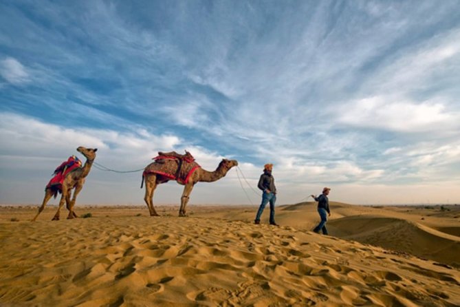 Desert Camel Safari Day Tour In Jodhpur - Key Things to Know Before You Go
