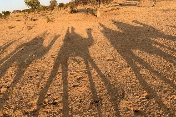 Desert Camel Safari Day Tour In Jodhpur - From Jodhpur to Osian: the 2:00–2:30 pm start that shapes your day