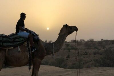 Desert Camel Safari Day Tour In Jodhpur - Sachiya Mata Temple: a free-entry, self-guided stop you can actually enjoy