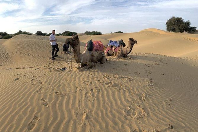 Desert Camel Safari & Jeep Safari Tour From Jodhpur - English-speaking driver, small group size, and how it plays out
