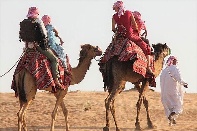 Desert Combo safari, Camel ride, Quad Bike and Dune Bashing(ALL INCLUSIVE) - Pickup in Doha: AC 4x4, Real-World Timing, and a Mesaieed Quick Stop