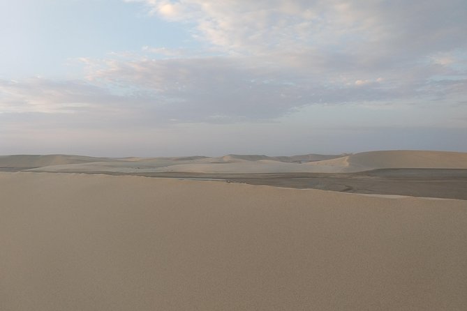 Desert Combo safari, Camel ride, Quad Bike and Dune Bashing(ALL INCLUSIVE) - Camel Ride for 5–10 Minutes: Short, Authentic, and Not a Time Sink