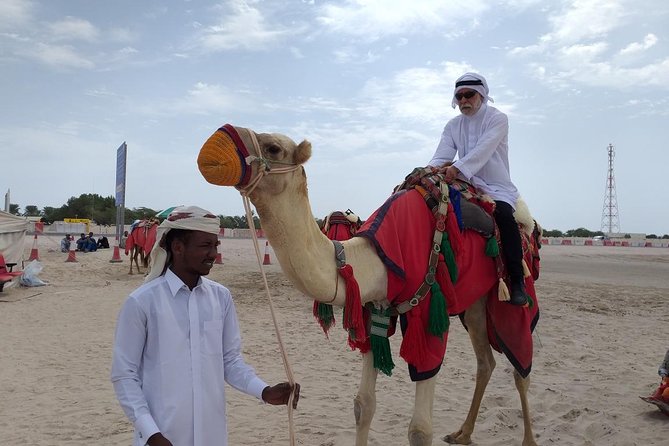 Desert Combo safari, Camel ride, Quad Bike and Dune Bashing(ALL INCLUSIVE) - Dune Bashing: The Sand-Slinging 4x4 Moment