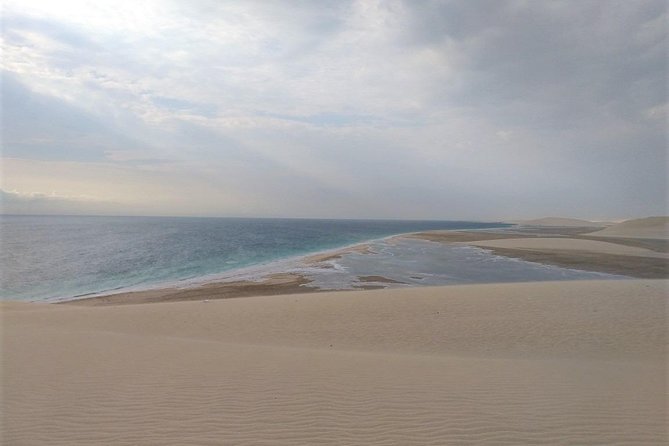 Desert Combo safari, Camel ride, Quad Bike and Dune Bashing(ALL INCLUSIVE) - Price and Value: What the $100 Combo Really Includes