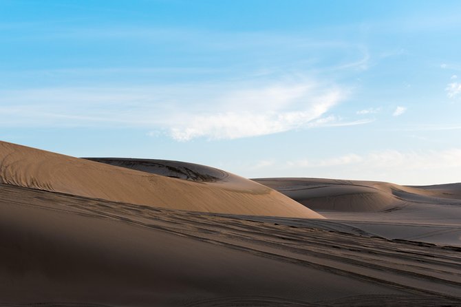 Desert Combo safari, Camel ride, Quad Bike and Dune Bashing(ALL INCLUSIVE) - Safety, Risk, and What to Bring (Passport Is Non-Negotiable)