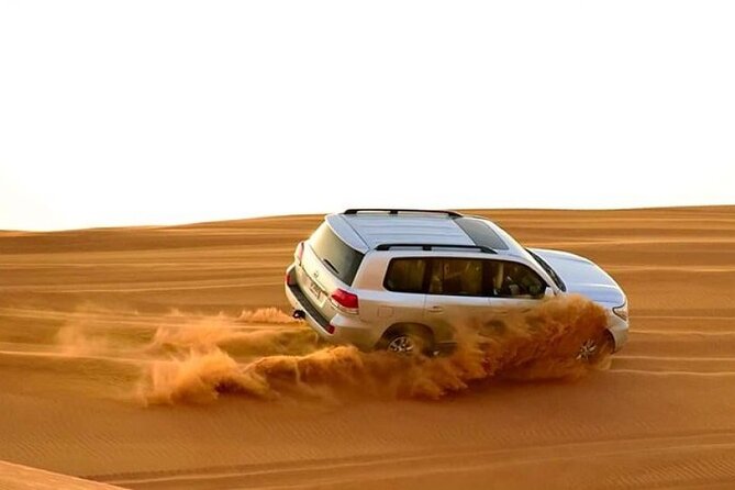 Desert Safari - Key Highlights Before You Go