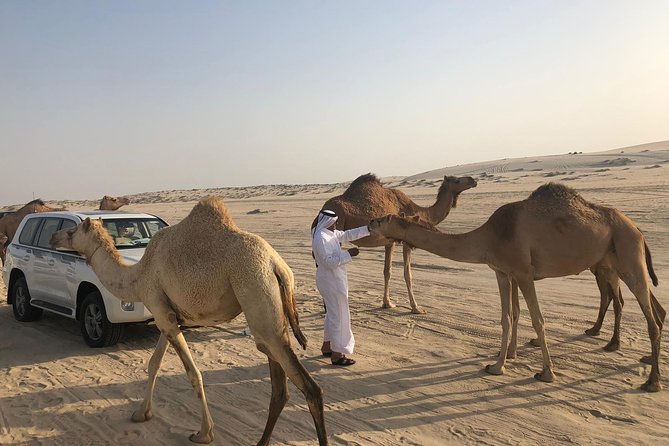 Desert Safari 7 Hours Tour with Dinner and Camp - Guides make the day: Asmat, Shahid, Saajid, and more
