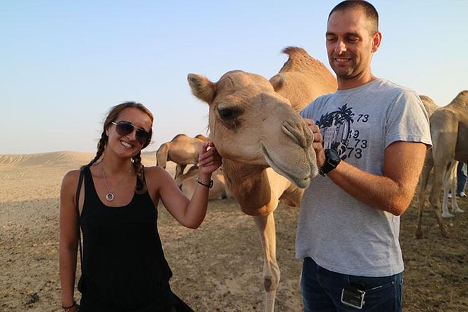 Desert Safari Abu Dhabi - Shisha and stargazing: the quieter desert part