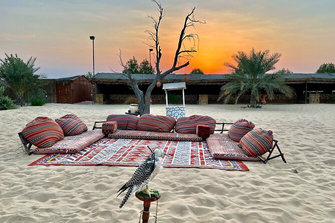 Desert Safari Abu Dhabi w/ Sand Boarding, Camel Ride & BBQ Dinner - Who should book this safari—and who should skip dune bashing