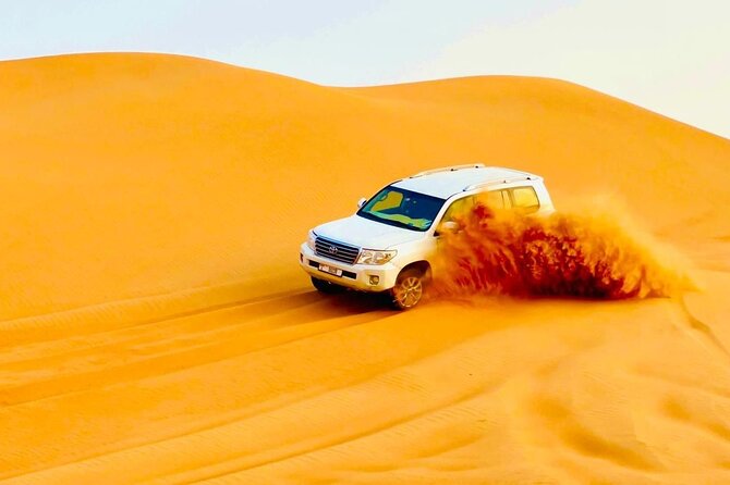 Desert safari adventure with BBQ dinner - Key highlights you’ll care about