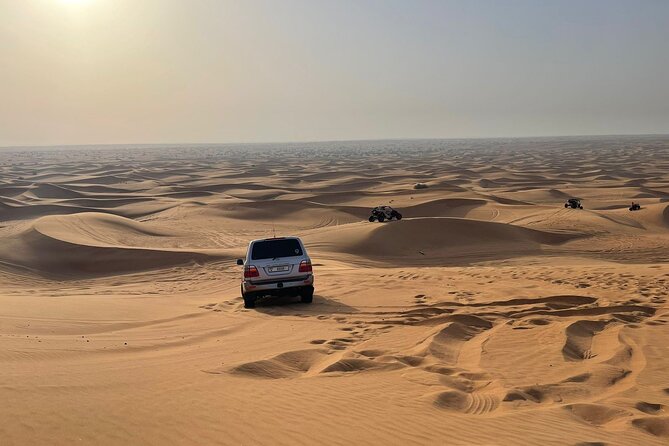 Desert safari adventure with BBQ dinner - Camel ride and sandboarding: desert fun you can actually try