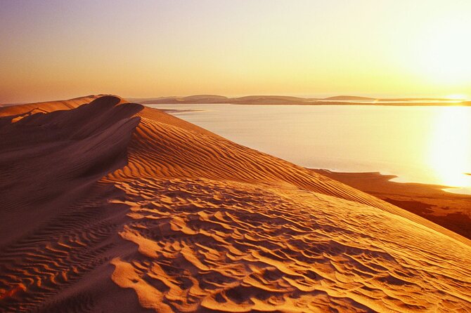 Desert Safari and Inland Sea(Private Tour) - Why this Doha desert safari feels like a “best-of” day