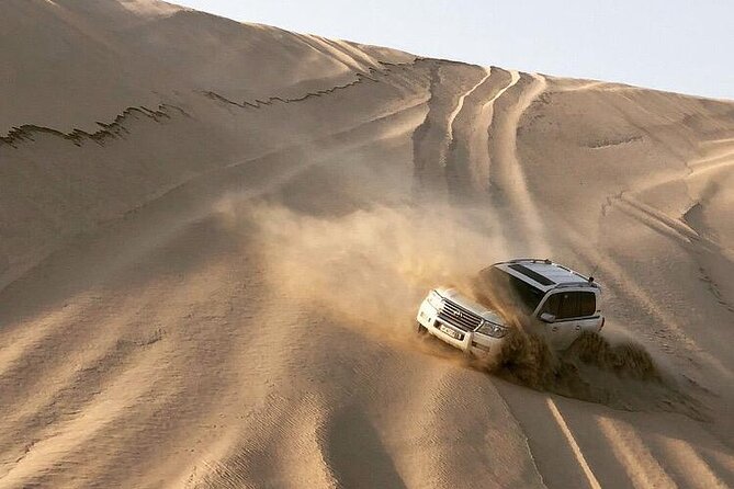 Desert Safari and Inland Sea(Private Tour) - Falcon photo and camel ride: short moments, big impact