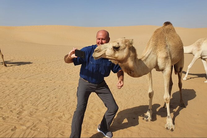 Desert Safari BBQ dinner, Camel ride & sandboarding from Dubai - Camel Ride and Photo Spots: The Slower Part You’ll Appreciate