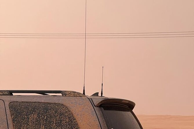 Desert Safari BBQ Dinner, Live Shows, ATV Bikes, Sandboarding - Key things that make this safari worth your time
