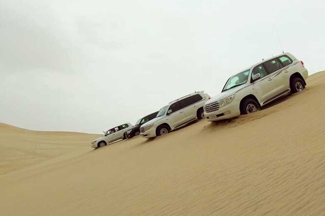 Desert Safari, Camel ride and Inland Sea Tour - Dune bashing: the thrill part (and how to get the most from it)