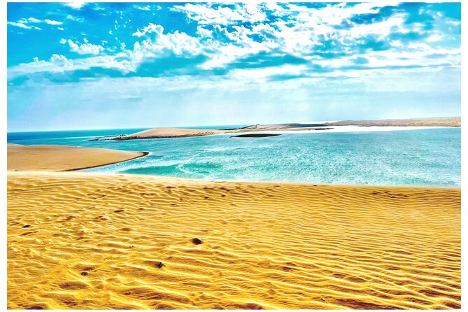Desert Safari Combo: Camel Ride, Sandboarding & Inland Sea Visit - Key takeaways before you go