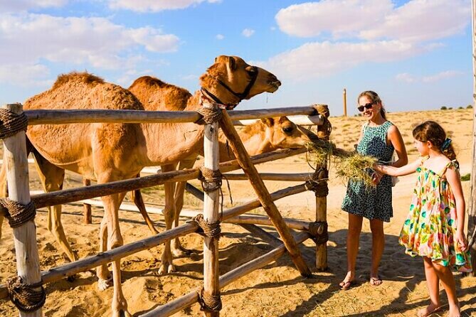 Desert Safari Dubai 30 Mins Quad Bike, Sand Board, Camel Ride BBQ - 30-Minute Quad Biking: What Restricted-Area Time Feels Like
