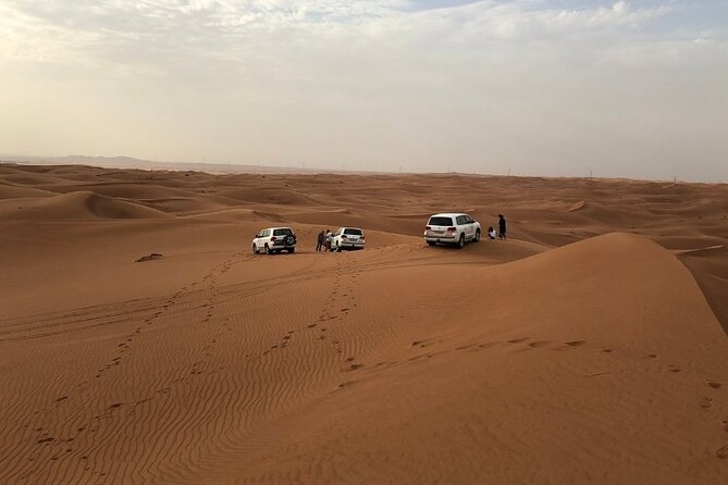 Desert Safari dubai - Sandboarding + camel ride: included fun with different vibes