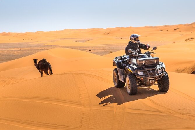 Desert Safari dubai - Price and value: how $22.49 works when dinner and transfers are included