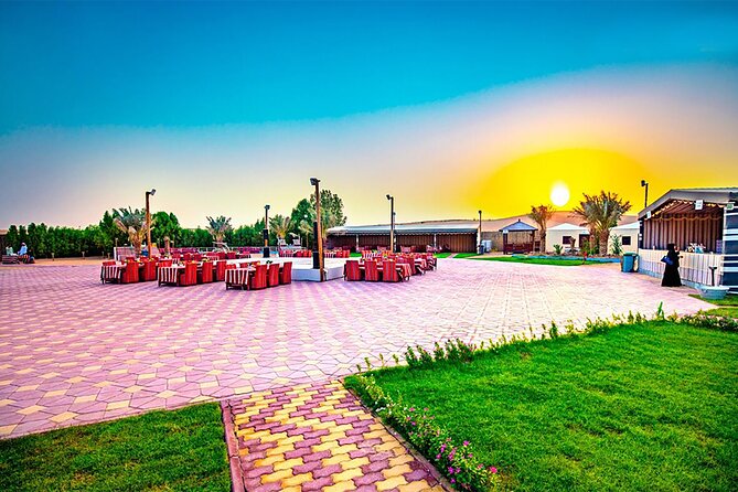 Desert Safari Dubai BBQ Dinner & Live Shows - Camel Ride and Sunset Views: Short but Memorable