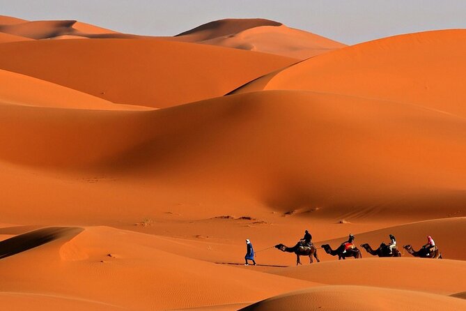 Desert Safari Dubai BBQ Dinner & Live Shows - Al Madam Desert Camp: Belly Dancing, Arabic Dance, Fire Shows, and BBQ