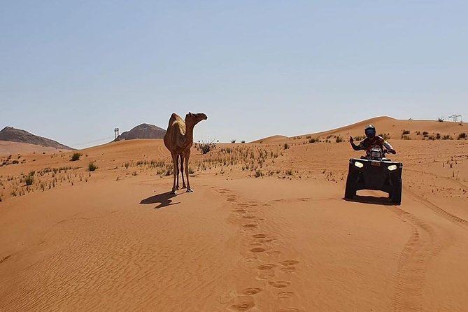 Desert Safari Dubai (PREMIUM VIP) - Dressing up, henna tattoos, and making it feel local