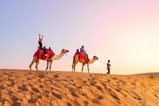 Desert Safari Dubai Sand Bashing, Camel Ride, Shows, Live BBQ - Shisha lounges and stargazing: the calm part of the chaos