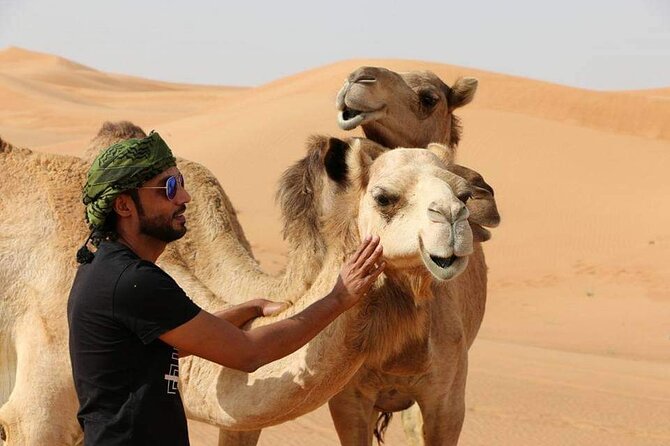 Desert Safari Dubai (VIP Package ) - The 2:30 pm start: an ideal desert timetable