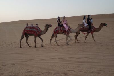 Desert Safari Dubai with Buffet Dinner & 3 live shows - 4WD Dune Bashing: The Main Event (and What to Expect)