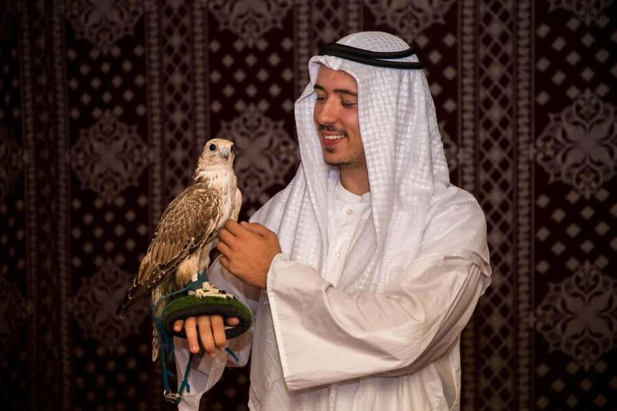 Desert Safari Dubai with Camel Ride, Sandboarding & Dinner - Value and who this desert safari makes sense for (and who should think twice)