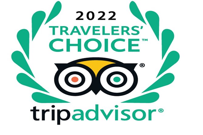 Desert safari, Dune bashing, sandboarding, camel, ATV Option - Key Things That Make This Safari Worth Your Time
