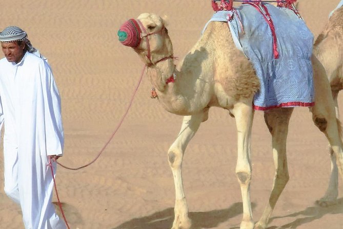 Desert safari, Dune bashing, sandboarding, camel, ATV Option - How the Doha 4WD Safari Actually Feels in Real Time
