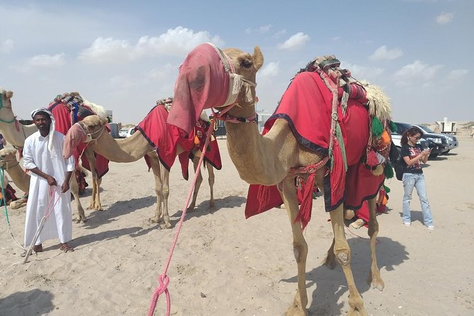 Desert safari, Dune bashing, sandboarding, camel, ATV Option - Sandboarding for 10–20 Minutes: Gear Provided, Friction Guaranteed