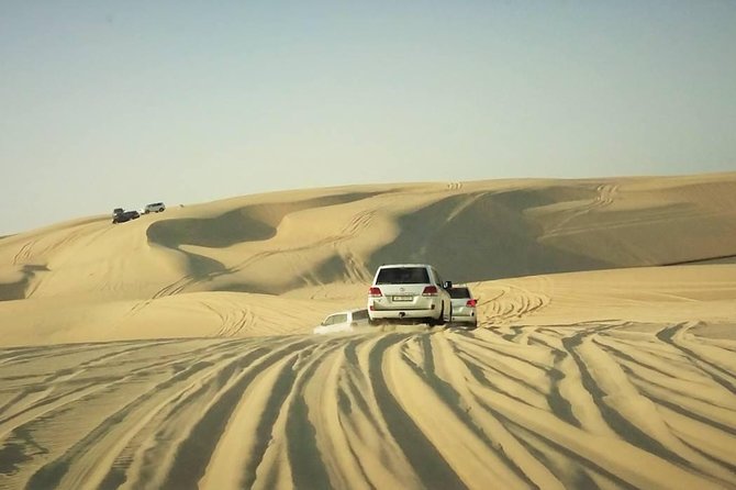 Desert safari, Dune bashing, sandboarding, camel, ATV Option - Price and Value: Why About $46.55 Can Still Make Sense